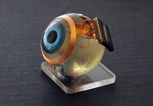 Artificial Retina Market Size, Key Players Analysis And Forecast To 2032 | Value Market Research