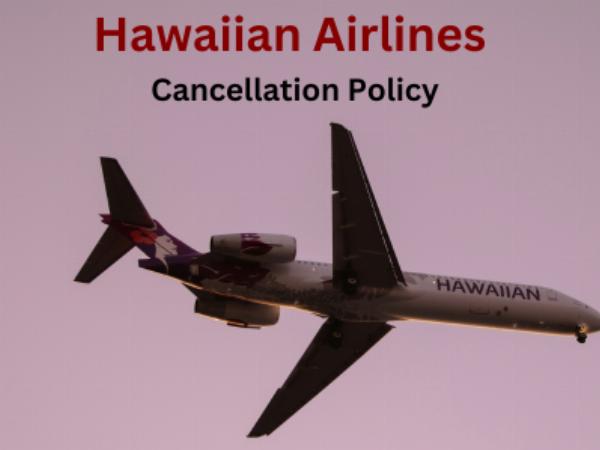 How to Cancel a Hawaiian Airlines Flight within 24 Hours of Booking?