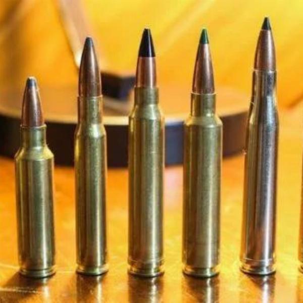 Small and Medium Caliber Ammunition Market Size, Industry Share, Growth, Outlook, and Forecast 2024-2032