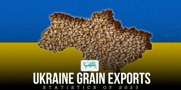 What are the most mentioned and conveyed Ukraine grain varieties in 2023 ?
