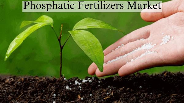 Phosphatic Fertilizers Market Size, Shares and Growth Forecast to 2032