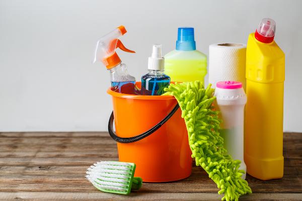 Household Insecticides Market Overview, Size, Industry Share, Growth, and Forecast 2024-2032