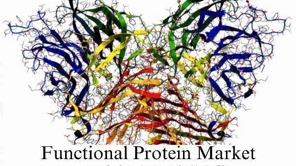 Functional Protein Market Size Insights: Growth Forecast Through 2032