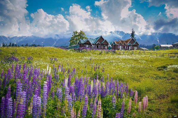 Top 5 Transportation Options in Kashmir