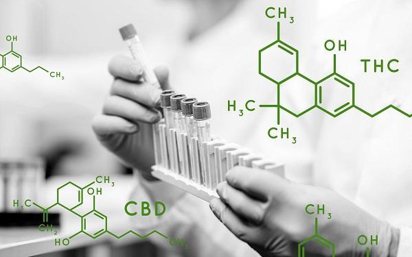 Blocked Isocyanate Market 2023-2032 | Global Industry Research Report By Value Market Research