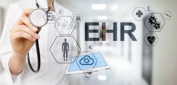Electronic Health Records Market Size, Share, and Trends: Latest Insights
