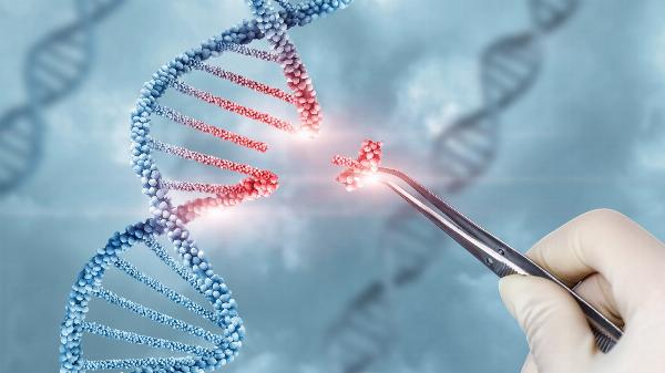 Gene Therapy Market Size, Share, and Trends: Latest Insights