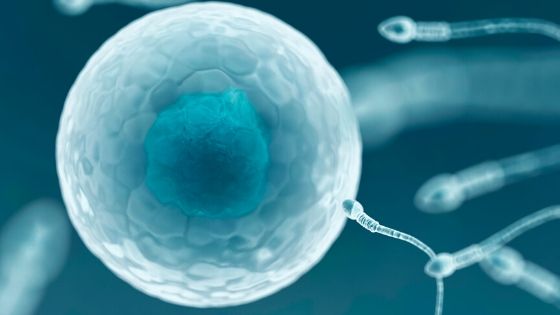 In Vitro Fertilization Market Size, Share, and Trends: Latest Insights