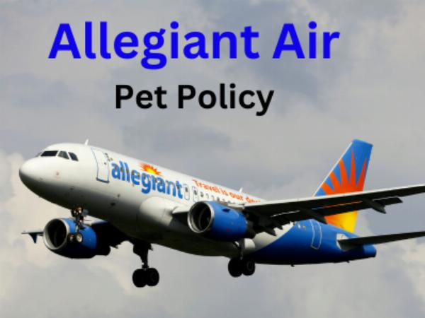 How Many Pets Can I Bring on Allegiant Air Flights?