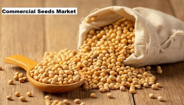 Commercial Seeds Market Expansion: Innovations in Seed Genetics for Precision Farming
