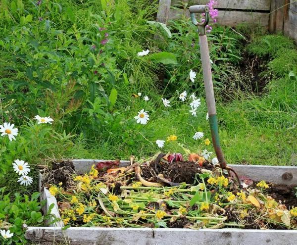 What Companies Offer Green Waste Rubbish Removal Services Near Me?
