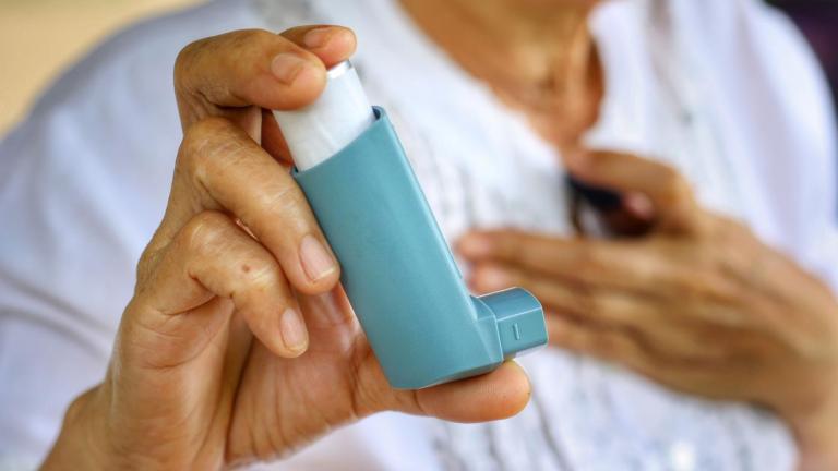 Bronchodilators Market Size, Growth Strategies, Trends, Analysis and Forecast 2024-2032