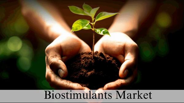 Biostimulants Market Size, Trends: Growth and Forecast to 2032