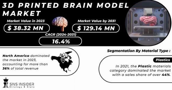 3D Printed Brain Model Market – The New Ways to Win in Emerging Markets Forecast to 2024-2031