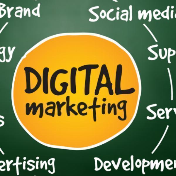 Why Skowd is the Best Digital Marketing Company in India