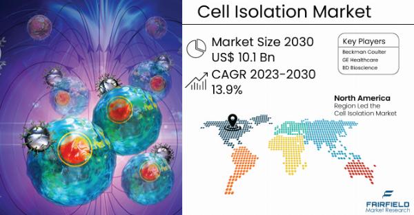 Cell Isolation Market Size, Share, and Industry Trends 2031