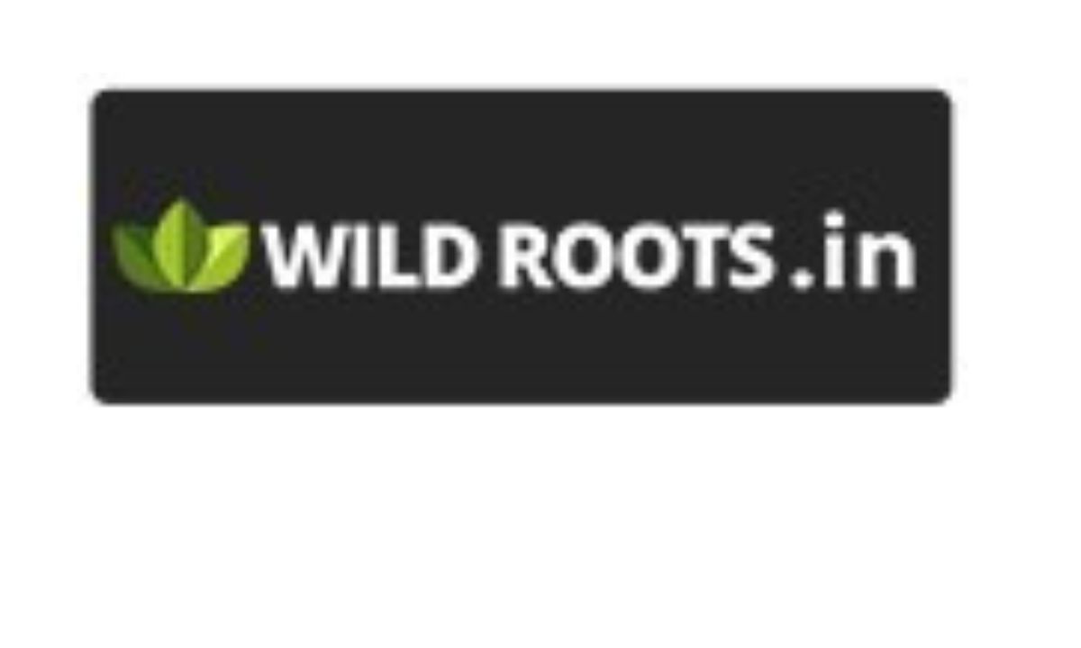 Wild Roots: Sustainable Beauty in Plant Gifting