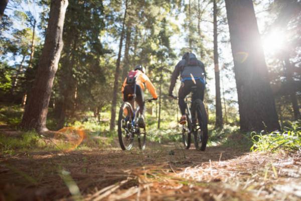 Où trouver les meilleures offres pour un VTT Scrapper en France?