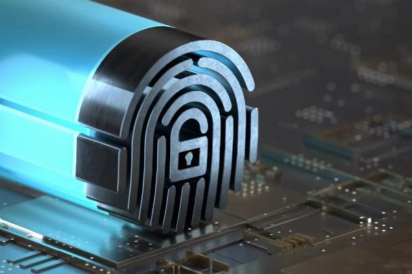 The Impact of Digital Fingerprinting on Cybersecurity and Privacy