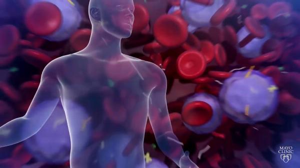 Global Cancer Biomarker Market Report Global Research Report with Growth, Latest Trends and Forecasts Till 2024