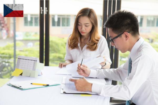 Research Paper Correction Support Services in Brno comprehensively provided by Words Doctorate