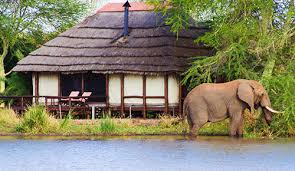 Summits & Safaris: Conquer Kilimanjaro and Explore Tanzania's Wild Beauty with Safarilines
