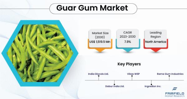 Guar Gum Market Analysis, Insights, and Future Outlook 2031