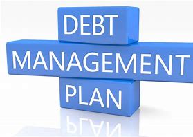 Will enrolling in a Debt Management Program cost more than managing my debts on my own?