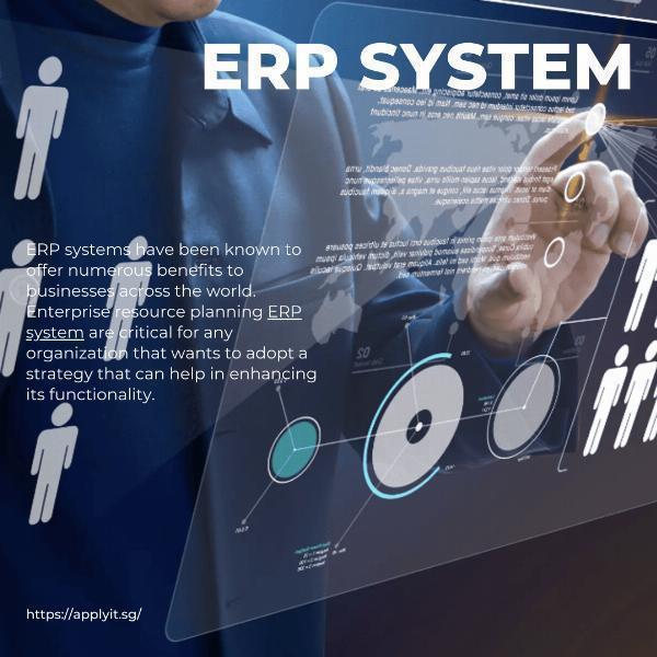 Leveraging Singapore's Software Development Expertise for Business Growth