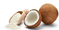 Coconut Milk Powder Market Size, Growth, Demand, Top Companies and Forecast 2024-2032