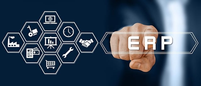 ERP Market Share in 2024: Key Players and Dynamics