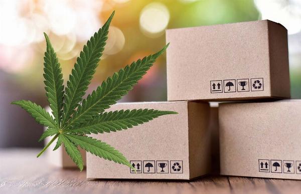 Hemp Packaging: A Sustainable Choice for Our Planet