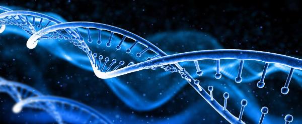 Biomarkers Market Size, Share, and Trends: Forecast