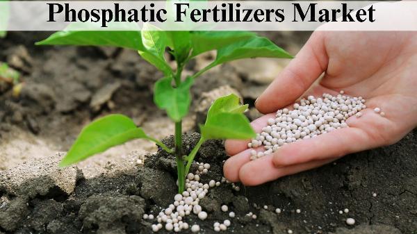 Phosphatic Fertilizers Market Share, Size, Growth Insights Through 2032