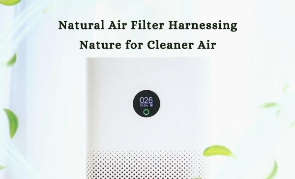 Natural Air Filter Harnessing Nature for Cleaner Air