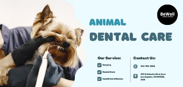 Comprehensive Guide To Animal Dental Care: Ensuring Your Pet's Oral Health