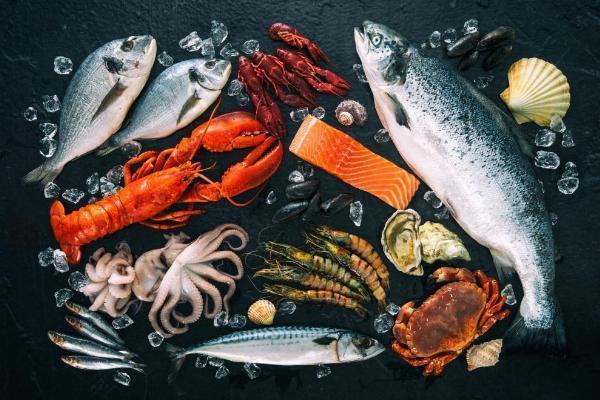 Germany Fish & Seafood Market Share, Trends, Growth, Size, & Forecast Report 2024-2032