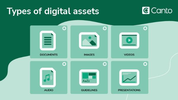 Best Digital Asset Management Software for 2024