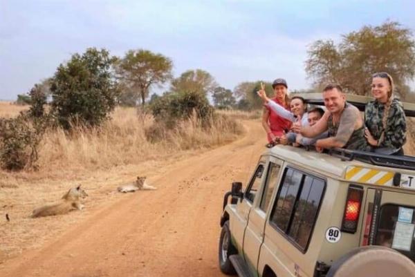Adventure Awaits: Hiking Volcanoes and Exploring Rwanda with Safarilines!