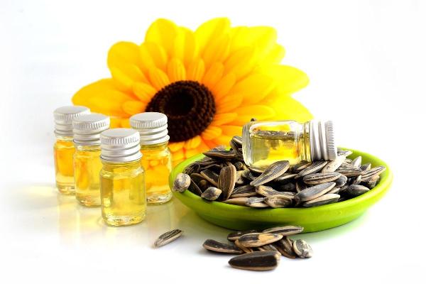 Sunflower Oil Manufacturing Plant Project Report 2024: Materials Cost, Setup Details and Requirements