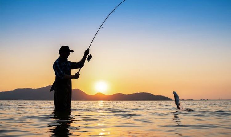 Fishing, Hunting, and Trapping Market Trends Upward with Emphasis on Conservation and Recreational Tourism