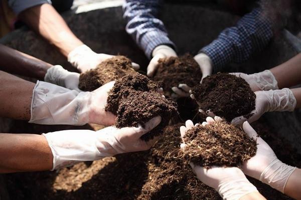 Organic Fertilizer Manufacturing Plant Setup Report 2024: Cost and Raw Materials