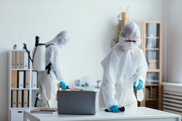 Ultimate Guide to Pest Control in Caroline Springs: Protect Your Home