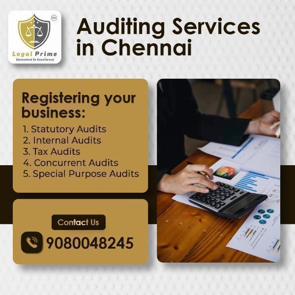 What are the roles of an audit service?