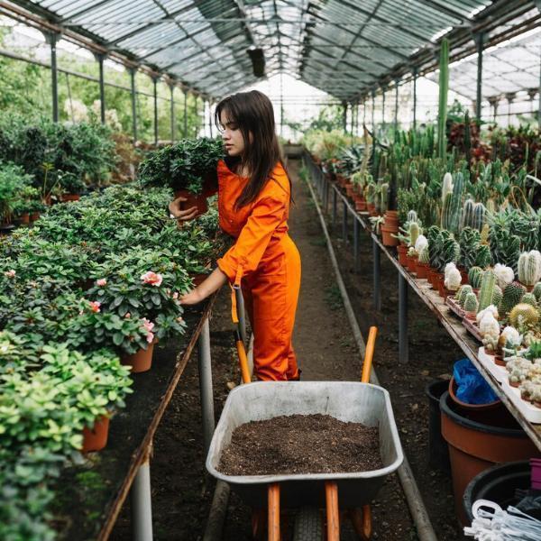 Agriculture Industry in India Report 2024: Industry to Reach US$ 227,059.9 Billion by 2032 at a 10.5% CAGR
