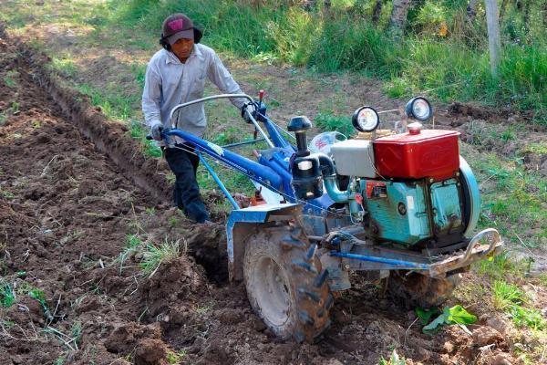 Transform Your Garden with Ease Using the Best Tillers