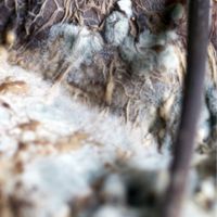 Asbestos Remediation Contractor: Ensuring Safety and Compliance with Risk Removal in Timnath, CO