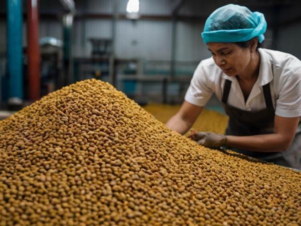 Fish Food Manufacturing Plant Report 2024: Raw Materials, Investment Opportunities, Cost and Revenue