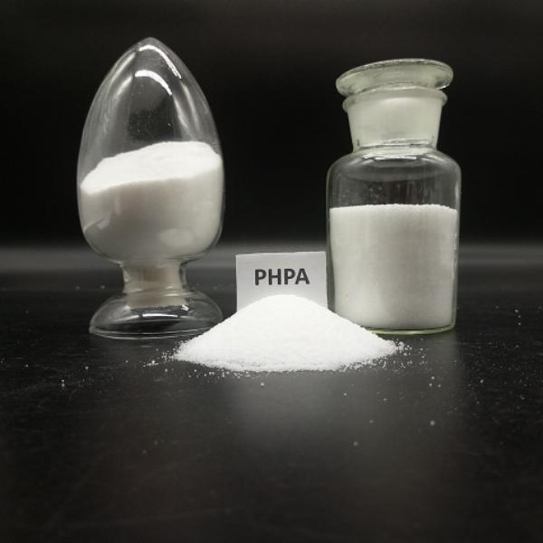 Future Prospects of the Partially Hydrolyzed Polyacrylamide (PHPA) Market