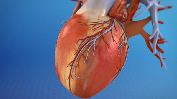 Heart Failure Point of Care Devices Market Size and Share: Trends and Forecasts